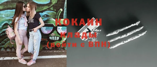 дживик Заводоуковск