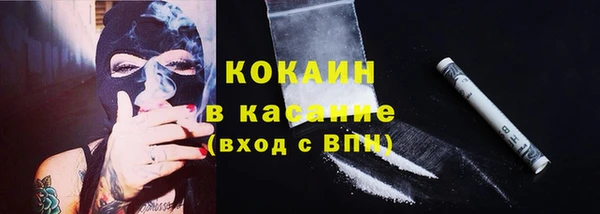 прущие грибы Заволжье