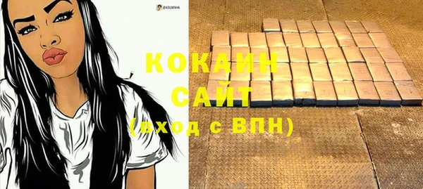 прущие грибы Заволжье