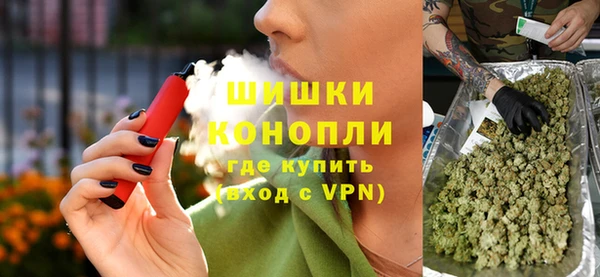 прущие грибы Заволжье