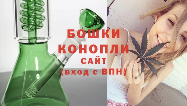 прущие грибы Заволжье