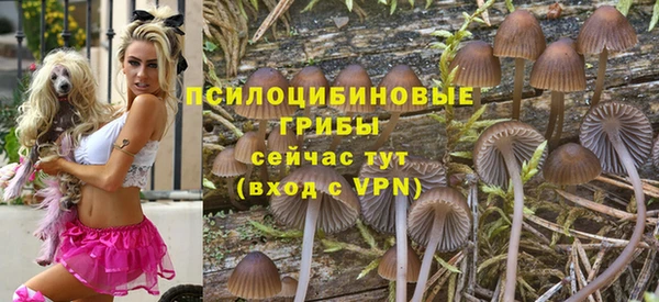 прущие грибы Заволжье