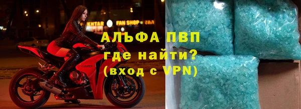 прущие грибы Заволжье