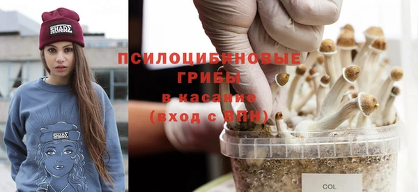 прущие грибы Заволжье