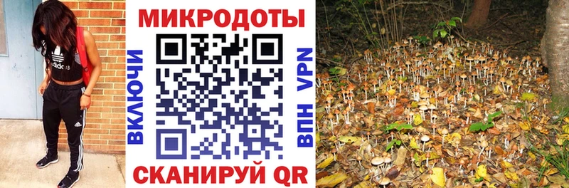 где продают   Димитровград  Галлюциногенные грибы Psilocybine cubensis 
